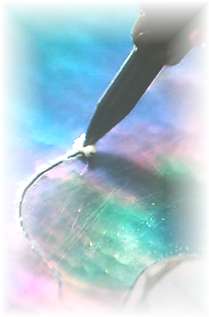 e0063208_23667.jpg