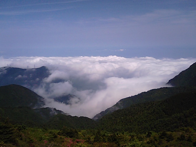 f0231709_20252651.jpg