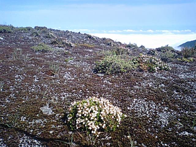 f0231709_2025466.jpg