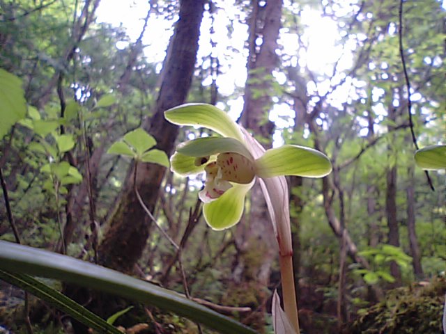 f0231709_2027539.jpg