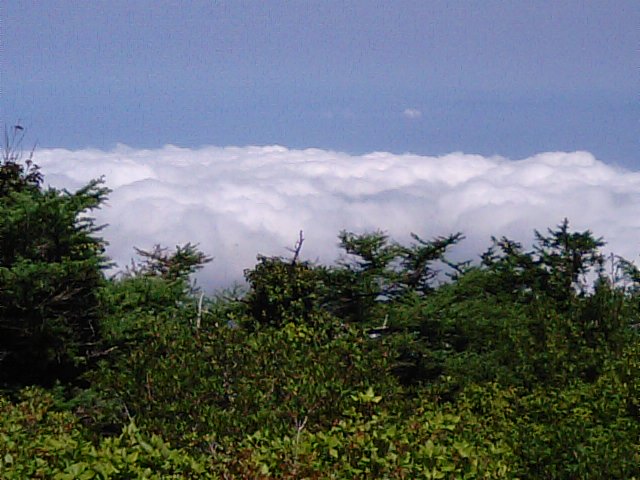 f0231709_2035417.jpg