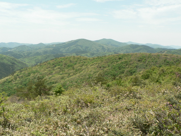 f0219710_10551427.jpg