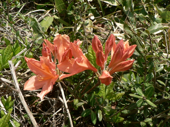 f0219710_10573339.jpg