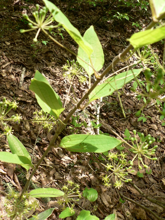 f0219710_1121270.jpg