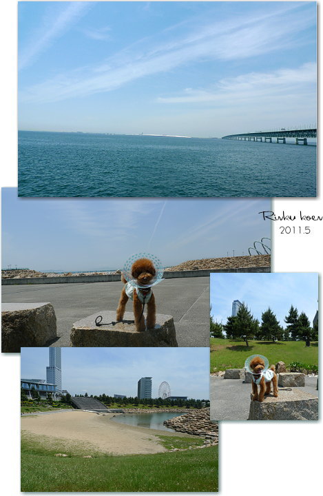 e0112312_154346.jpg