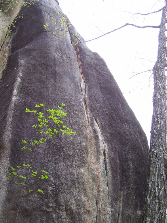c0210618_2394922.jpg