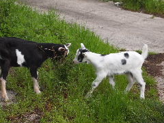 a0157619_22582089.jpg