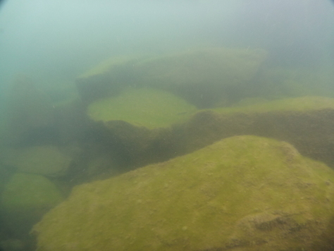 a0104720_225576.jpg