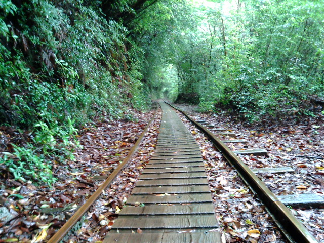 f0177521_18253614.jpg