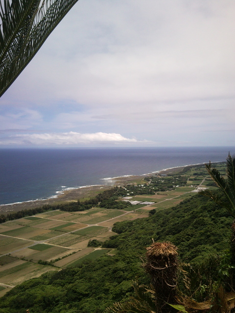 f0197325_11174383.jpg
