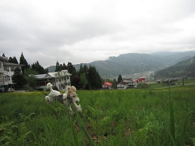 c0075429_20435598.jpg