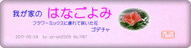 e0033229_204566.jpg