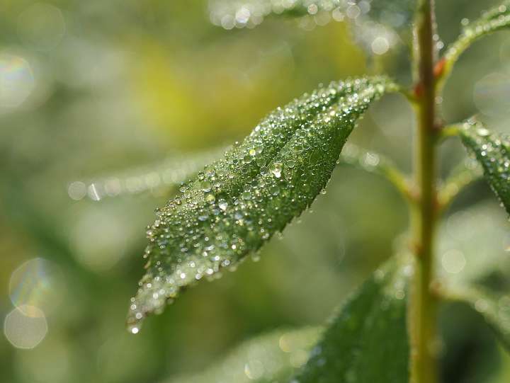 c0133133_16543311.jpg