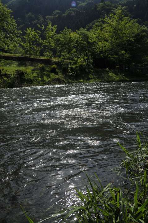 c0133133_17132944.jpg