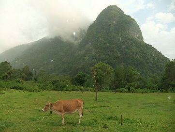 a0186635_1272180.jpg