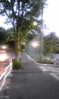 d0188035_2247058.jpg