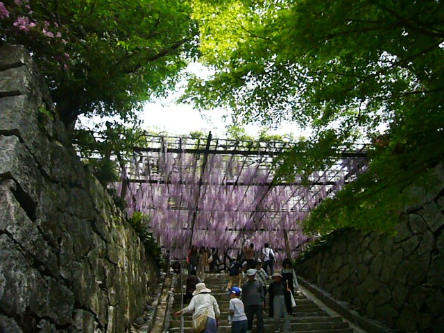 e0133535_20251259.jpg