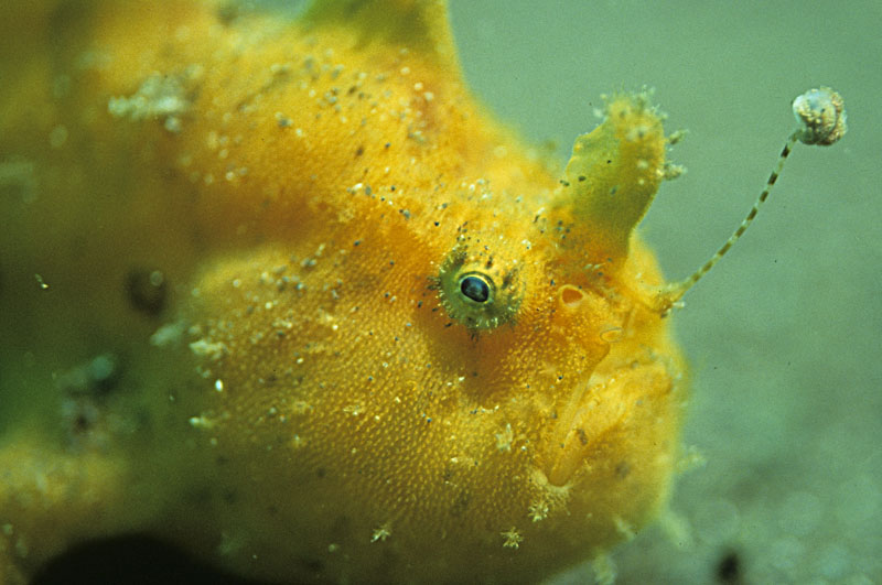 b0042837_21184557.jpg