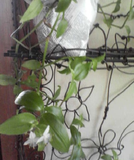f0237037_12283797.jpg