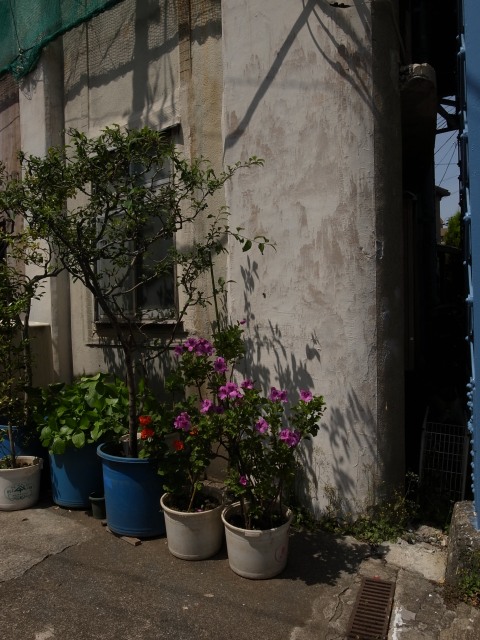 a0087341_22432848.jpg