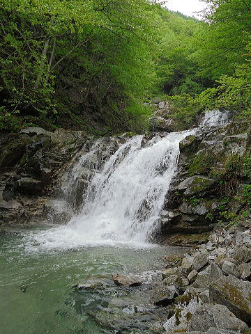 f0094843_1285479.jpg
