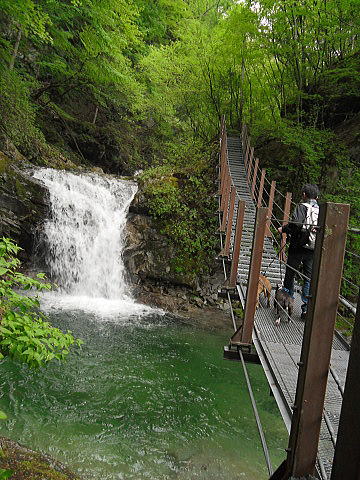 f0094843_1353045.jpg