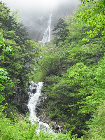 f0094843_136953.jpg