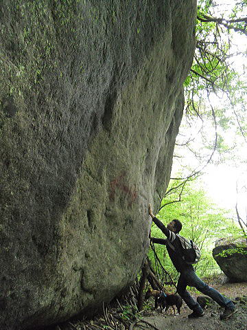 f0094843_151329.jpg