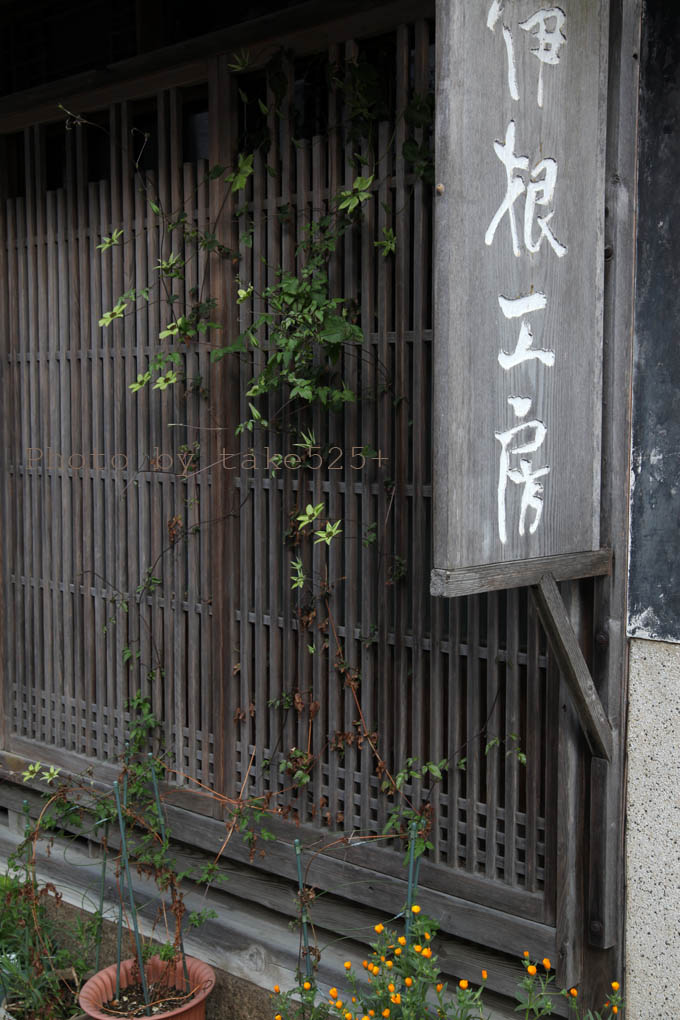 a0116946_6264459.jpg