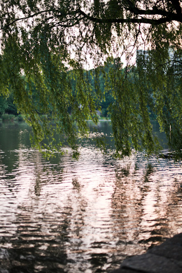 d0008146_9191140.jpg