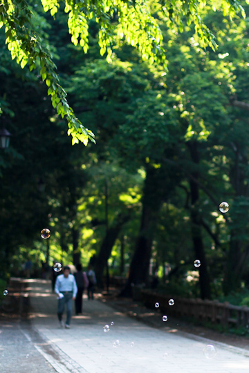 d0008146_9204138.jpg