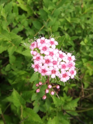 f0068649_2317740.jpg