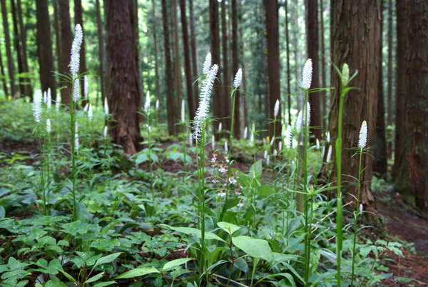 f0214649_565899.jpg
