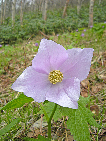 a0001354_19484156.jpg