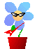 c0079255_232034100.gif