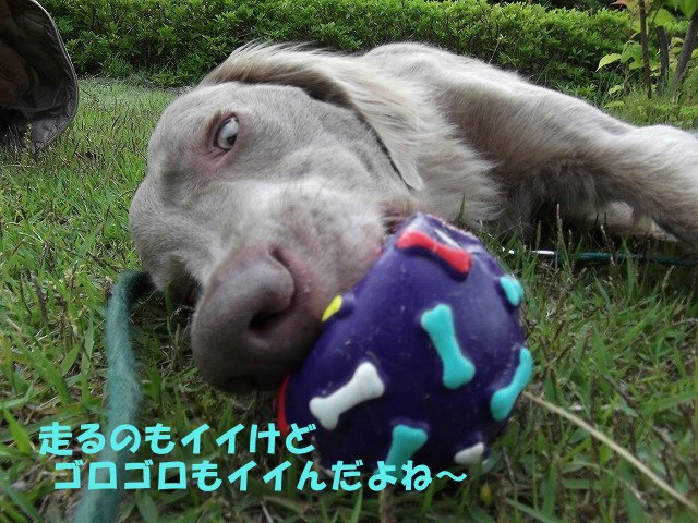 e0176159_14201268.jpg