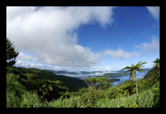 b0062363_22562352.jpg