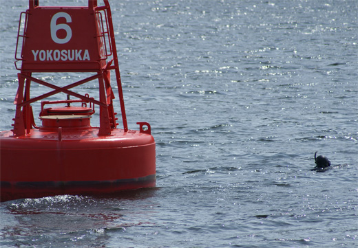 c0122266_1163897.jpg