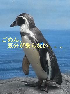 b0185771_17261060.jpg
