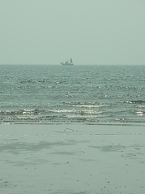 b0185771_18373988.jpg