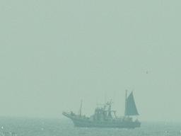 b0185771_1837535.jpg