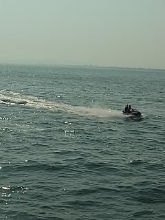 b0185771_18484968.jpg