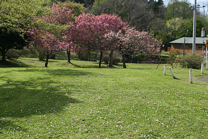 c0112479_22424554.jpg