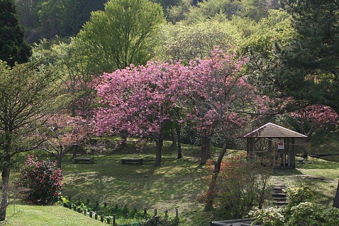 c0112479_22434337.jpg