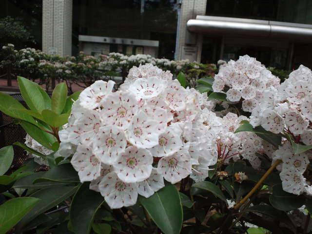 f0077595_15563435.jpg