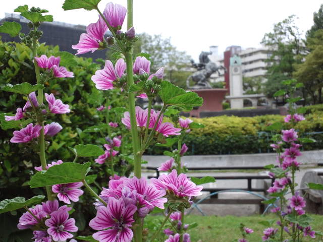 f0077595_15563483.jpg