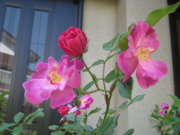 f0201297_0221527.jpg