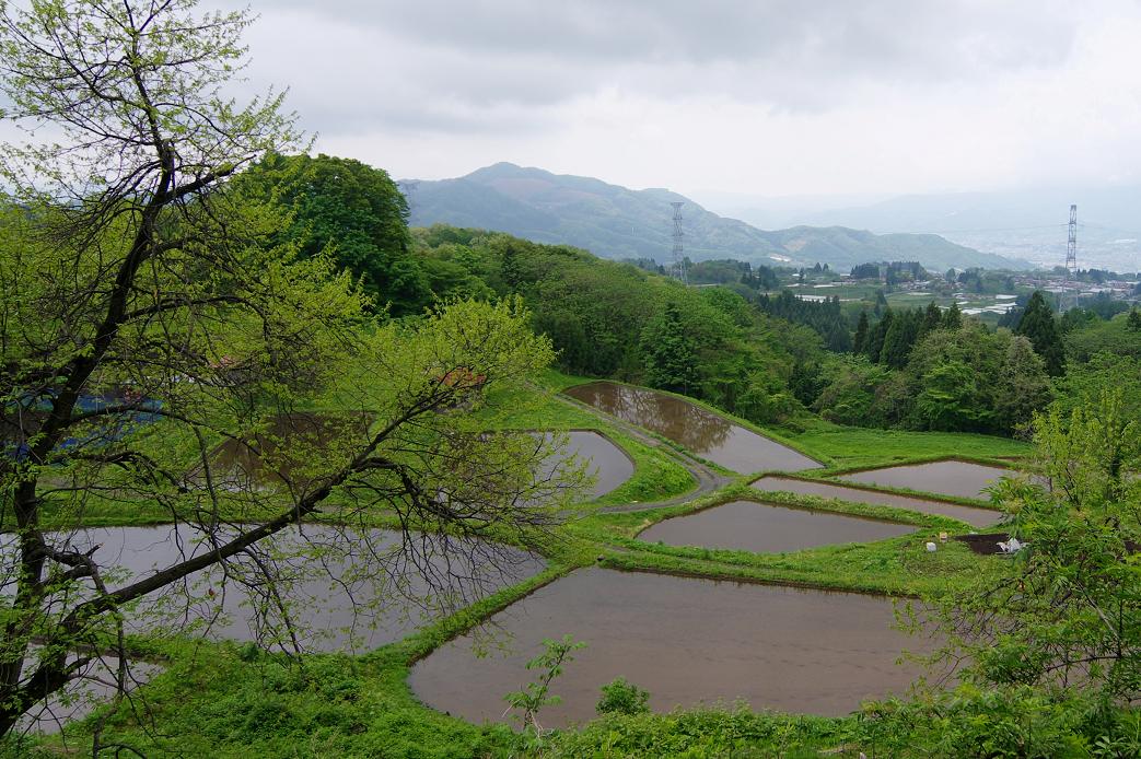 f0081398_1925347.jpg