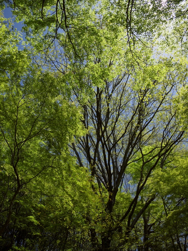 b0138101_2030880.jpg