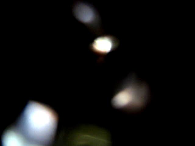 e0103408_1617247.jpg